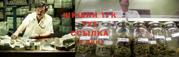 ешки Козловка