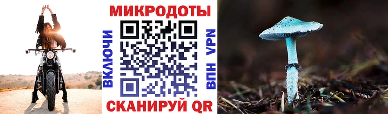 Купить где  Ворсма  Псилоцибиновые грибы GOLDEN TEACHER 